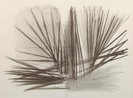 Hans Hartung